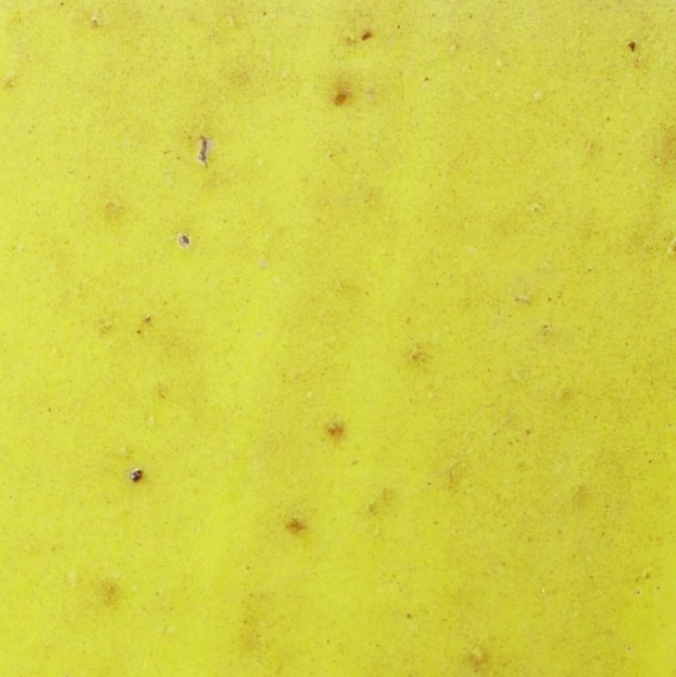 Jaune comme ici avec la gamme Aléonard Emaillées Monuments Historiques Droite Pontigny Citrine